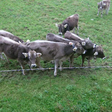 Am Angerbach